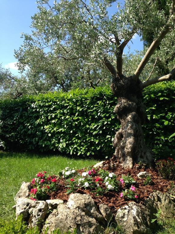 Da Debbie San Giovanni In Marignano Zimmer foto